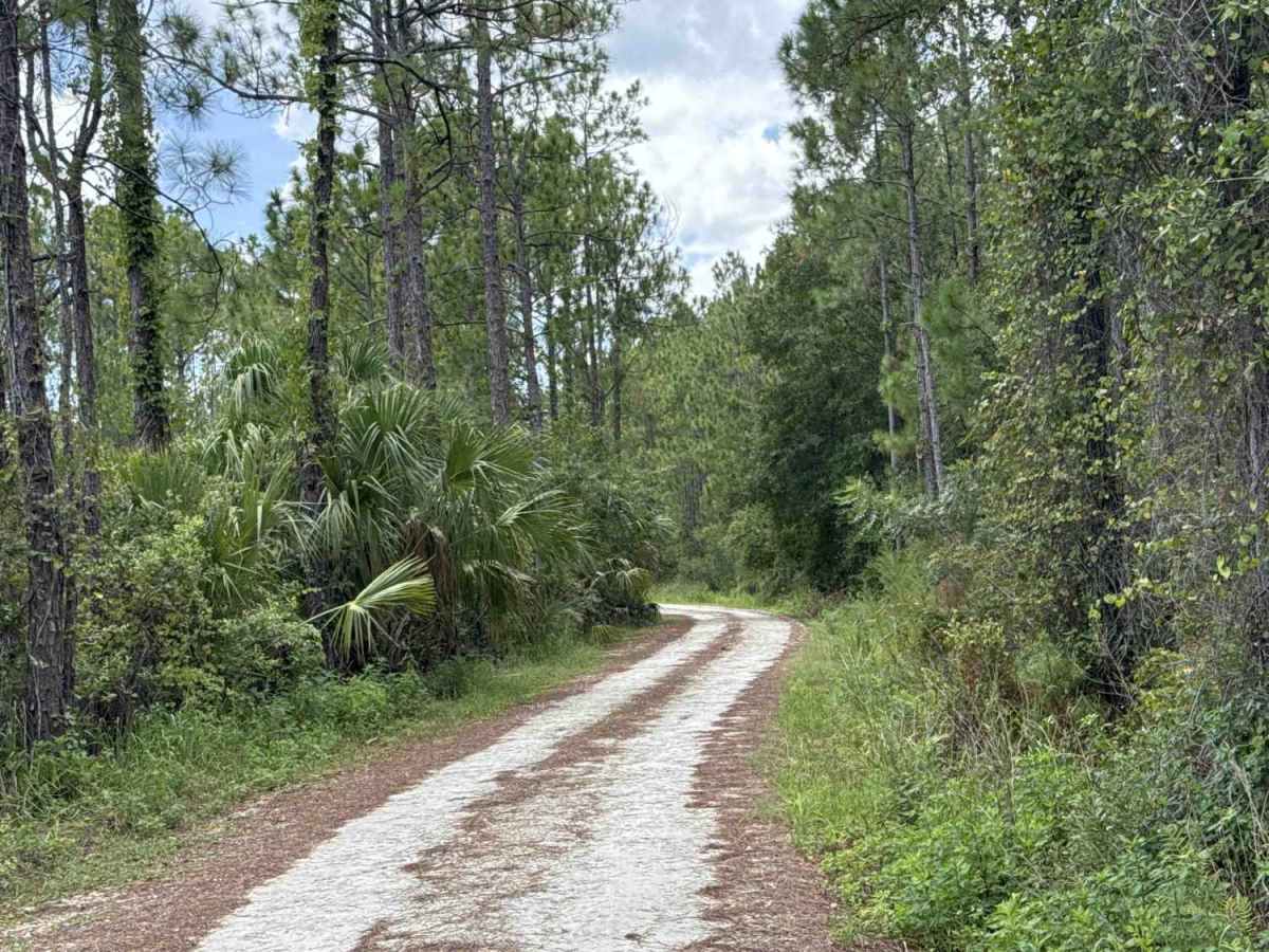 Woody Road Loop photo 5