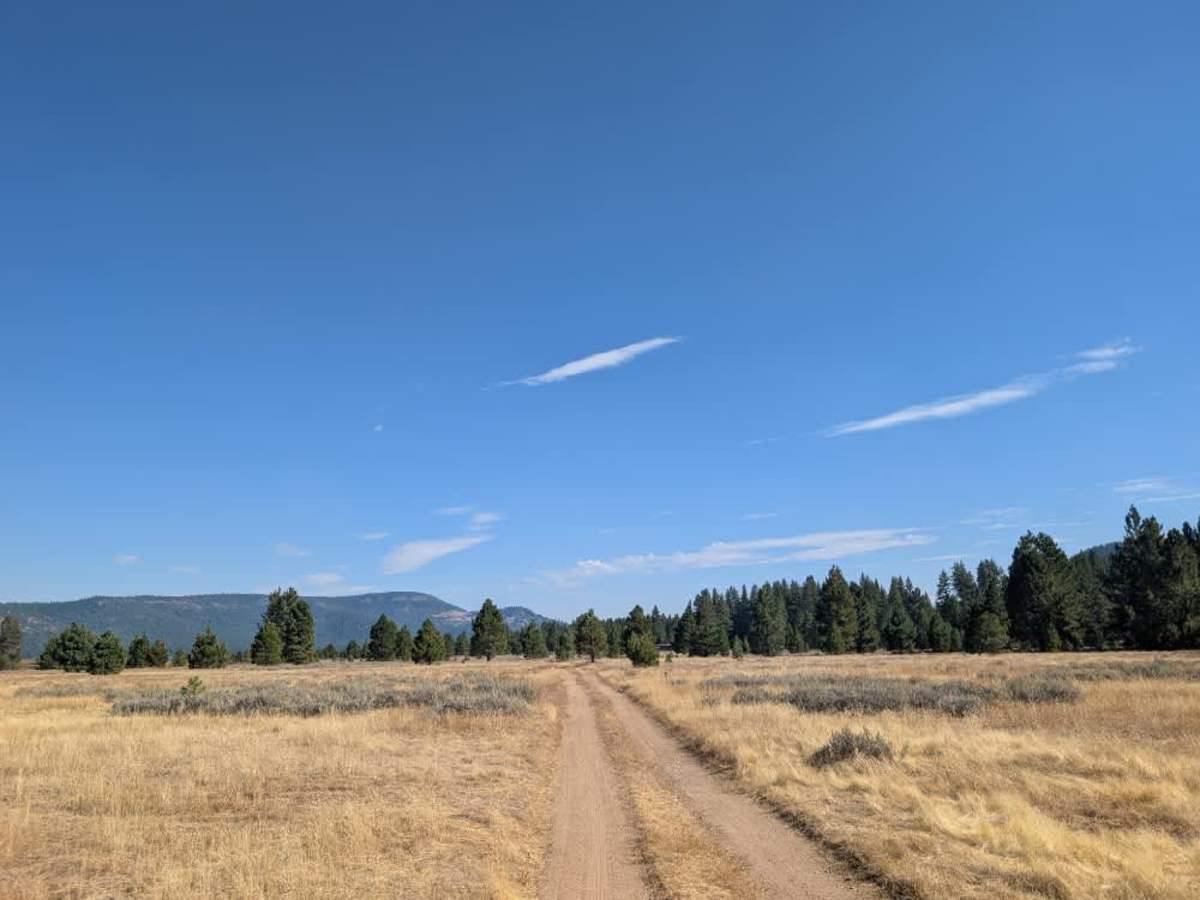 FS 24N10B1 trail photo
