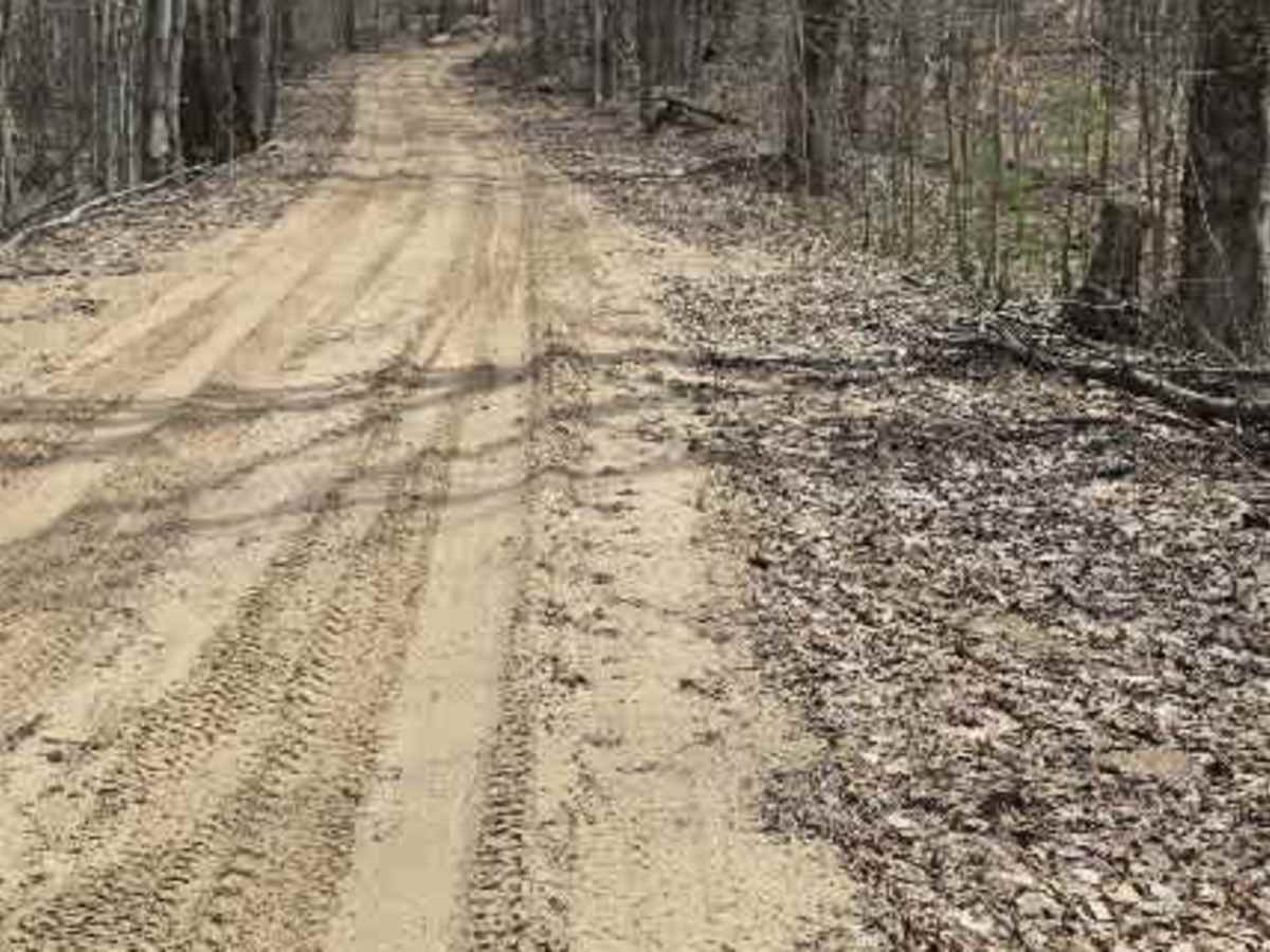 Holms Road photo 5