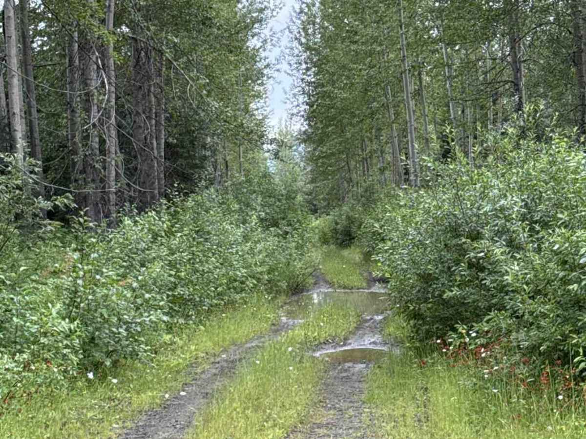 Slender Lake FSR photo 4