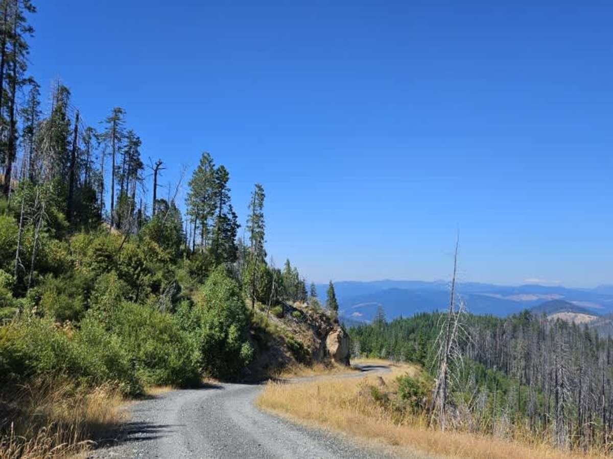 FS 3220000 trail photo