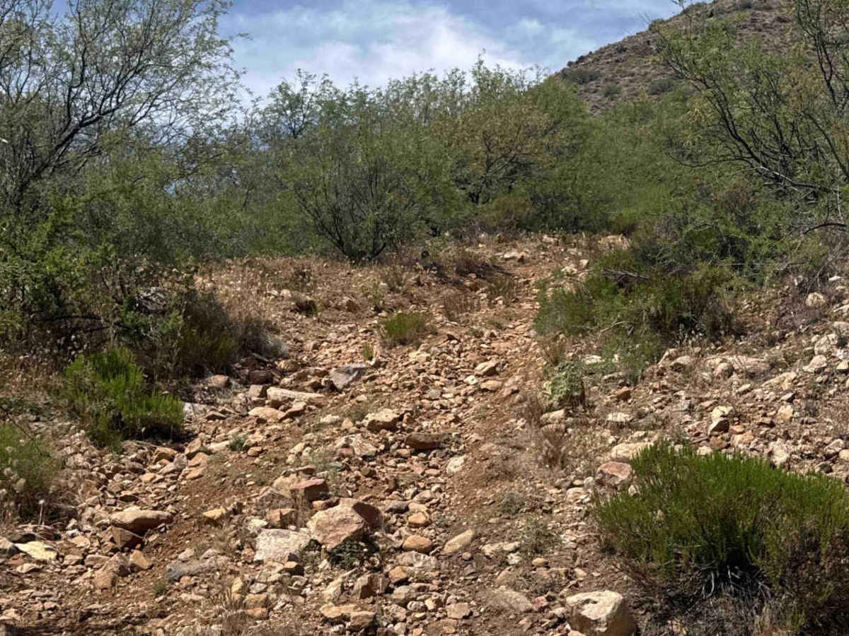 30016 trail photo