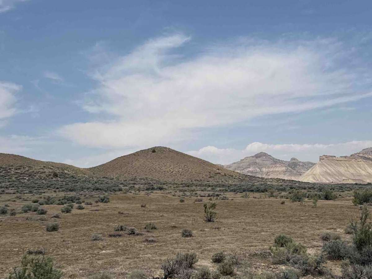 BLM 117 photo 2