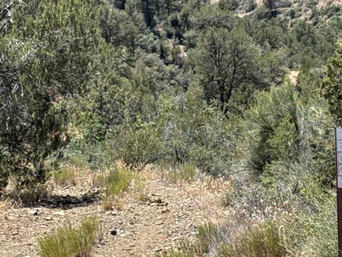 Porcupine Peak Canyon - FS 9602N photo 2
