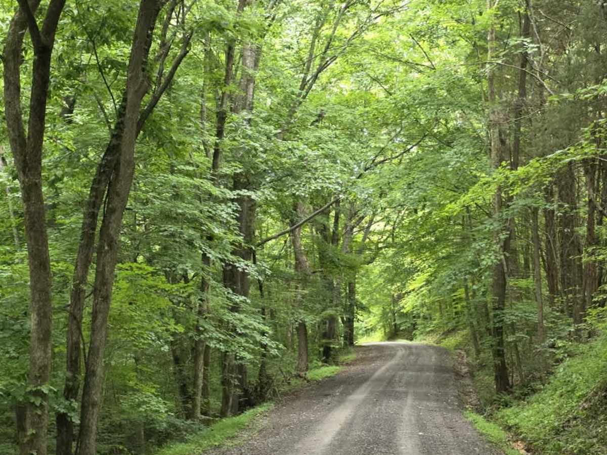 Shockley Hill Road - Macon County Tour photo 4