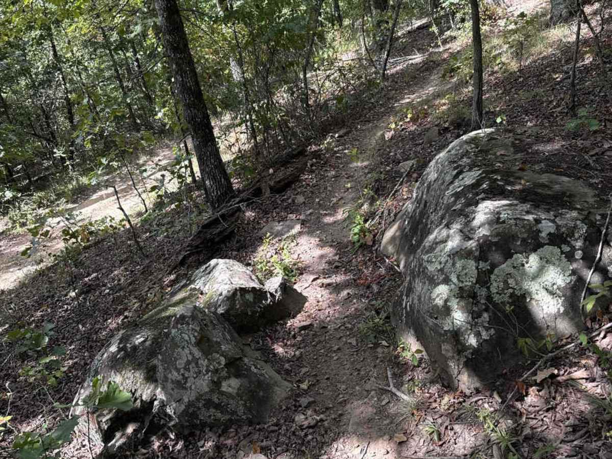Koa Trail photo 2