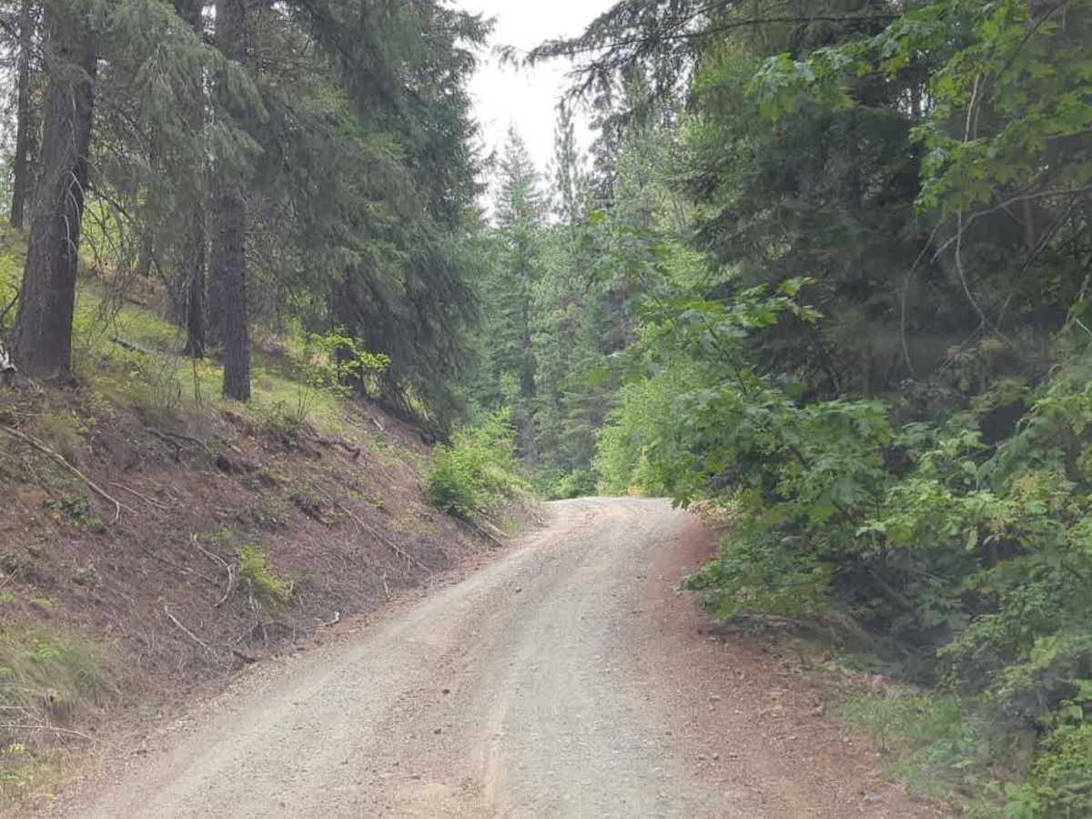 East Van Creek Road photo 4