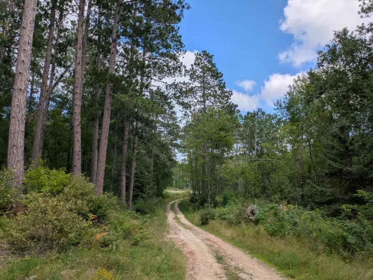 Loon Lake Road photo 5