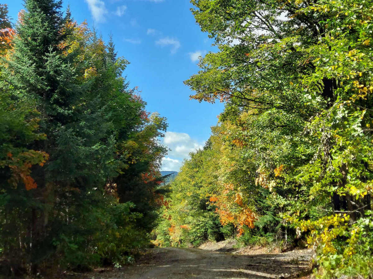 Ingersoll Brook Road photo 5