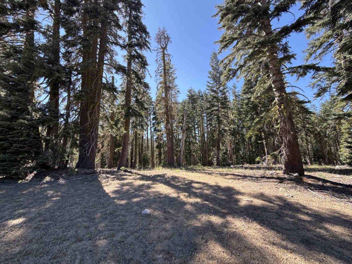 FS 17EV16 trail photo