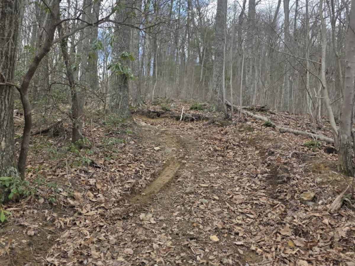 Wheeler Spur photo 4