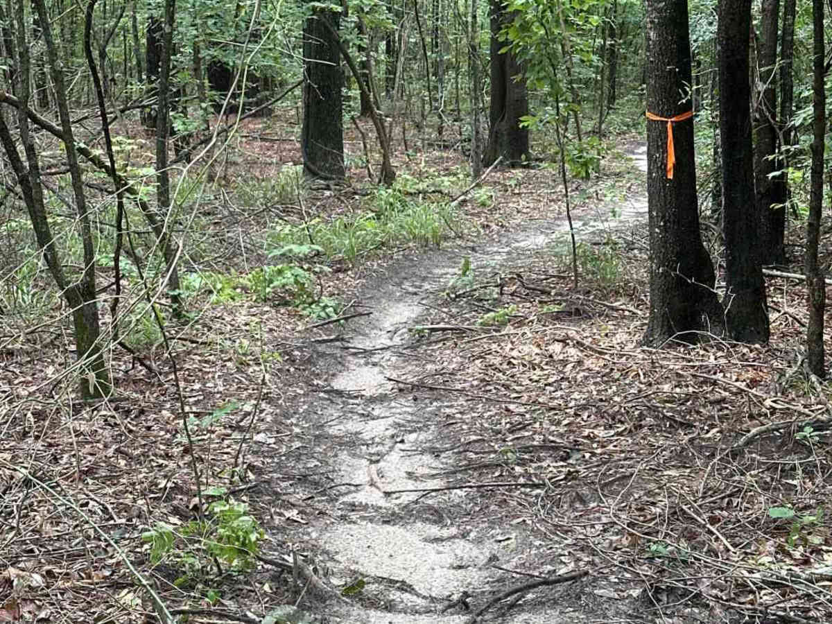 Jimmy's Revenge trail photo