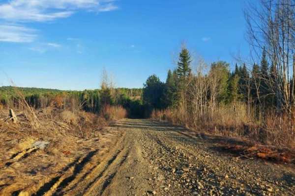 Carlisle Brook Trail