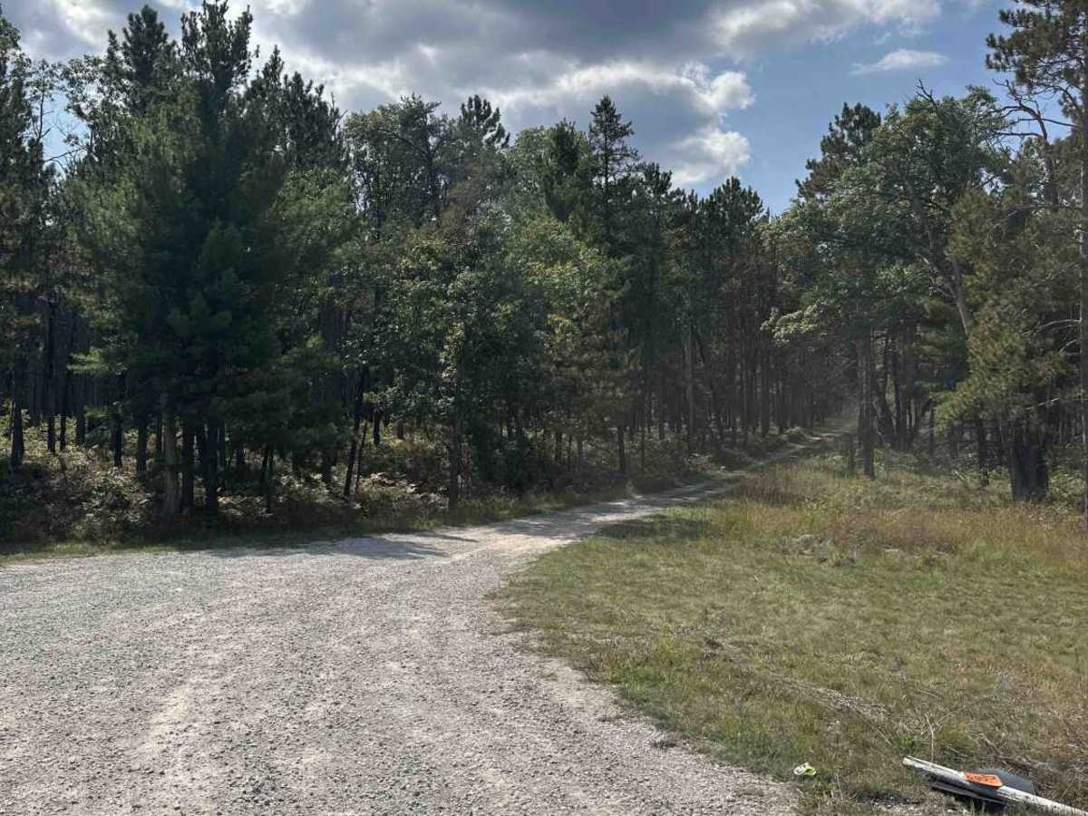 FS 4194 trail photo