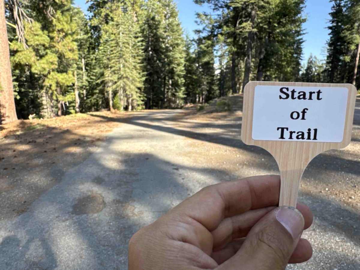 Pine Nut - FS 16-046 trail photo