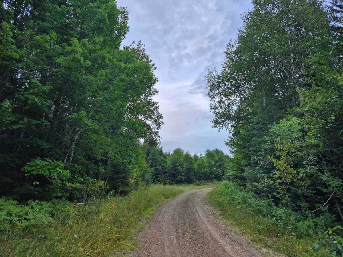 Truck Trail 2 photo 2