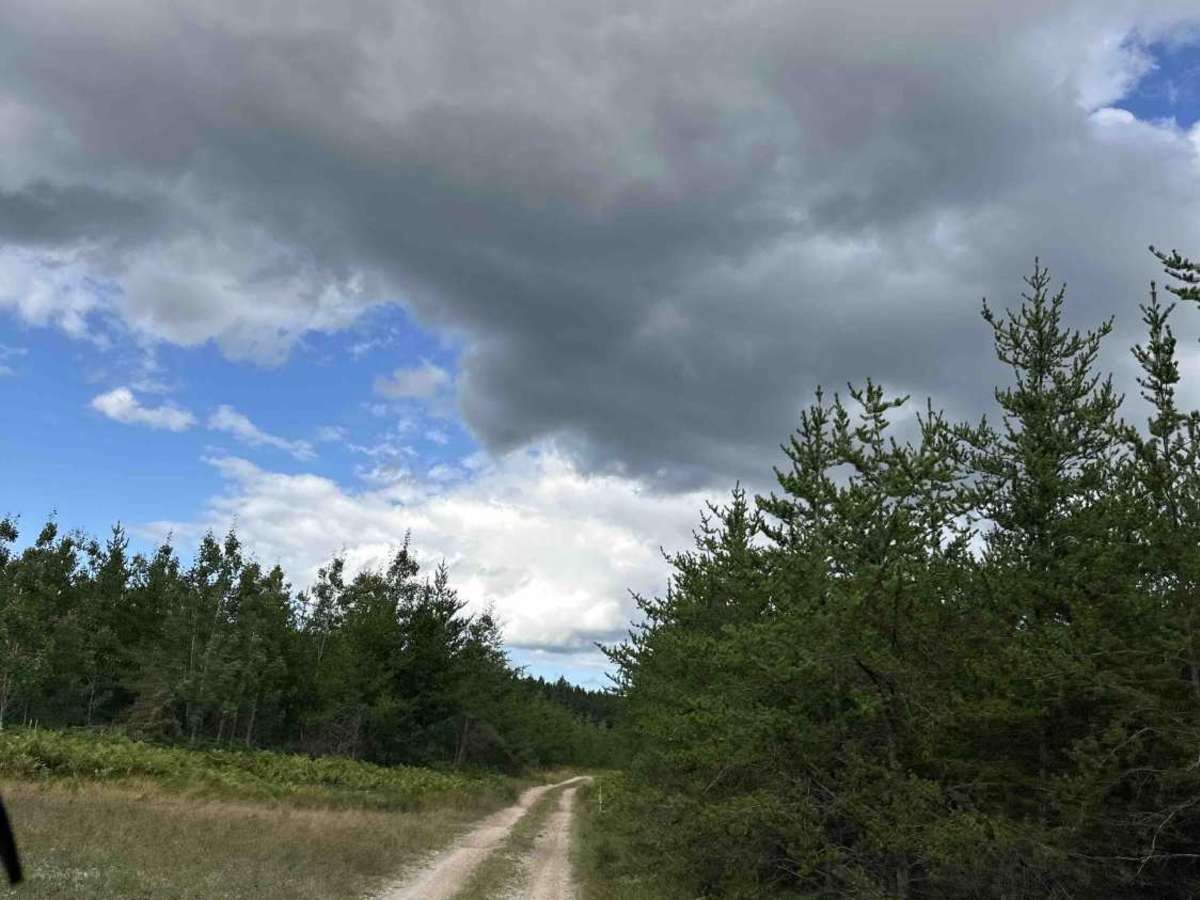 FS 2701 photo 6