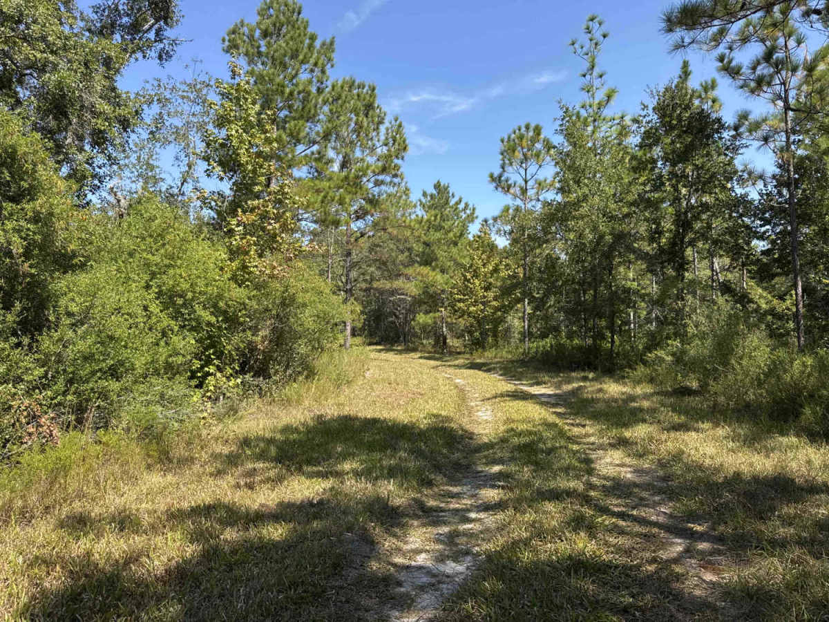 Boundary Loop photo 3