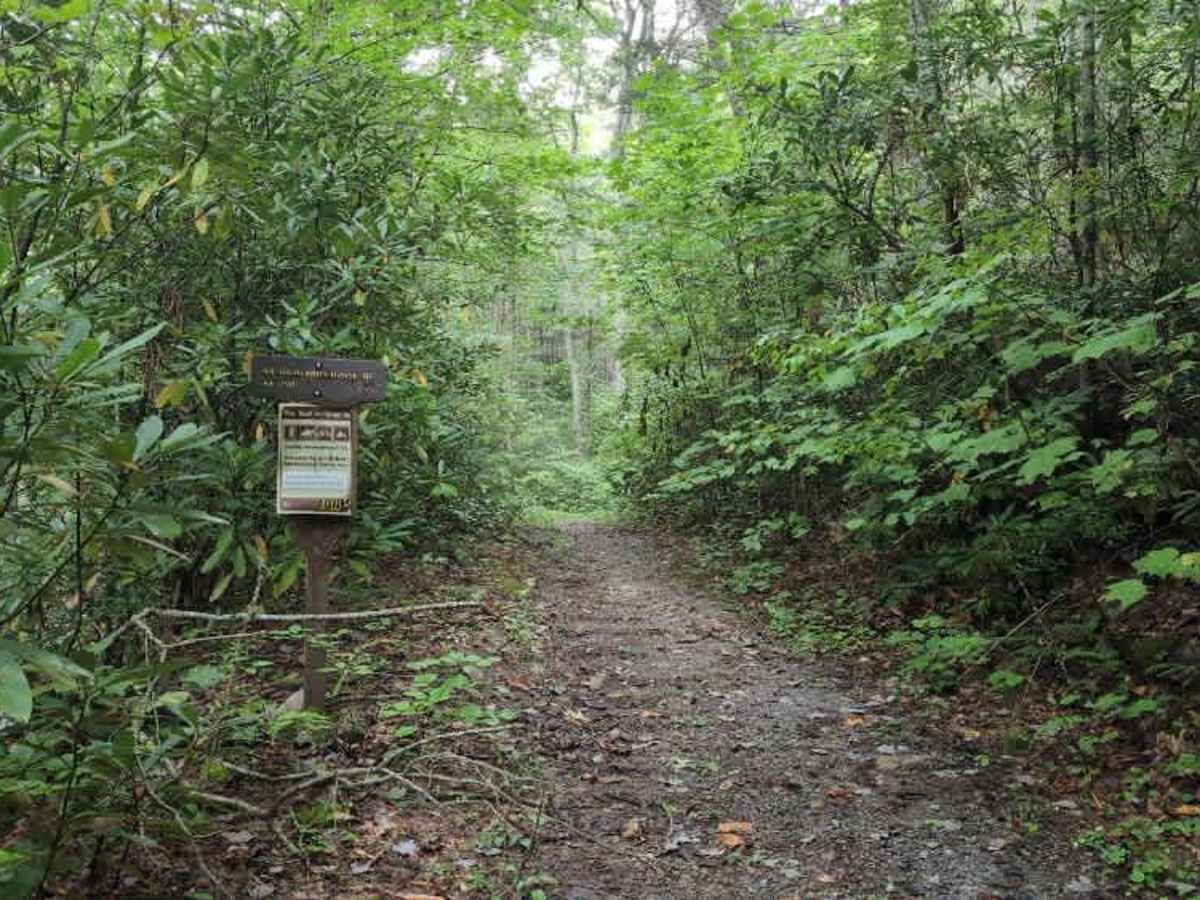 Virginia Highlands Horse Trail Spur C trail photo