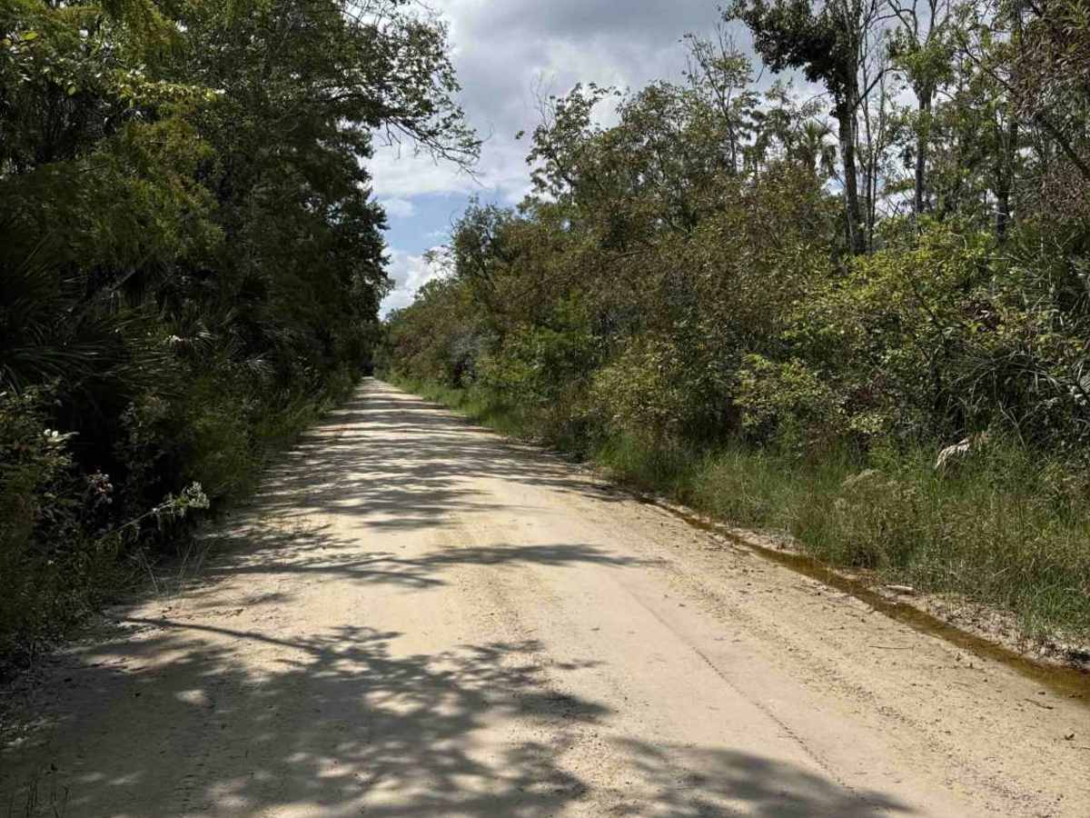 Homus Pond Road photo 3