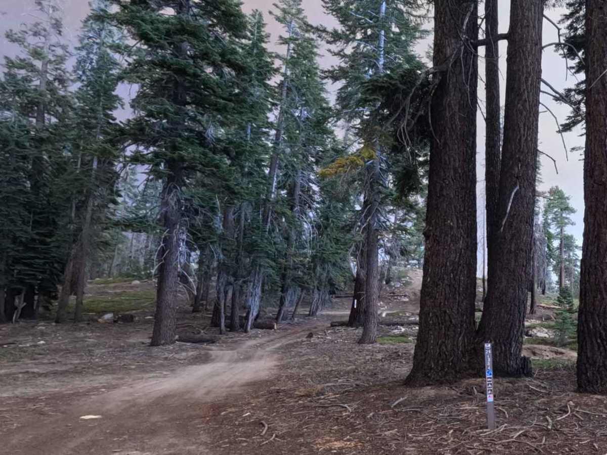 Redpole Loop - FS 26E334 photo 2