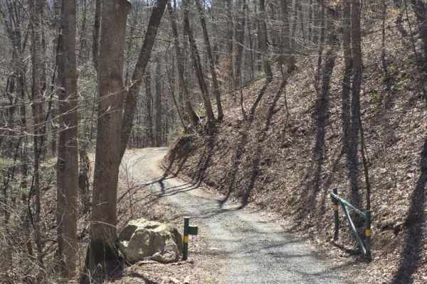 Cedar Gap