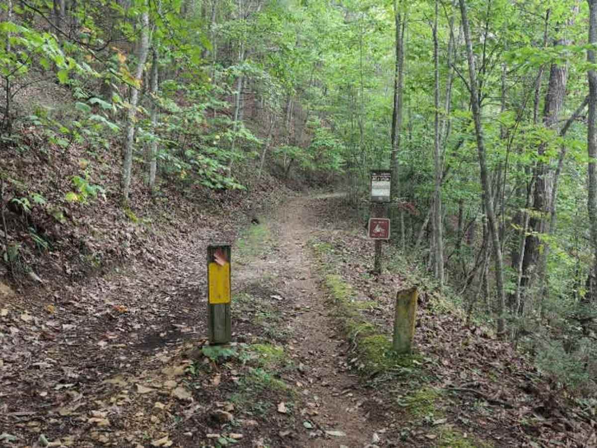 Virginia Highlands Horse Trail Spur C photo 5