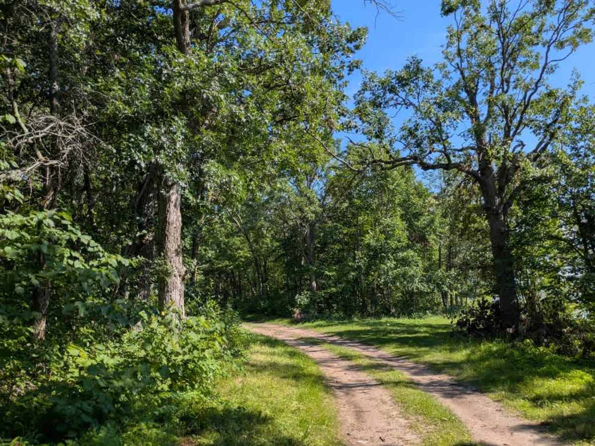 Camp Cassaway CT Southeast photo 6