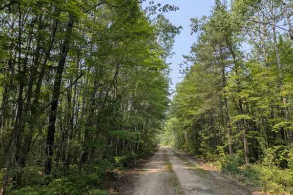 High Lake Road