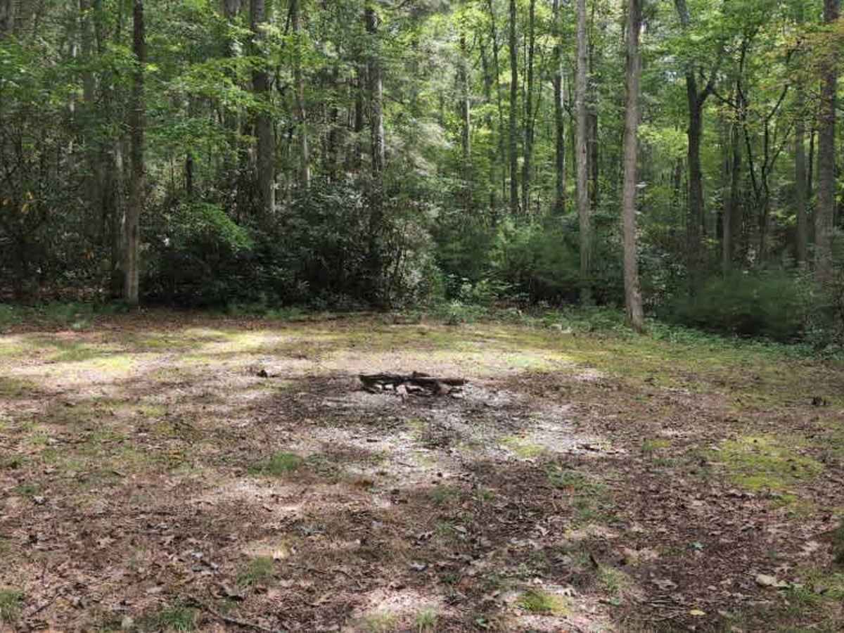 Virginia Highlands Horse Trail Spur D trail photo