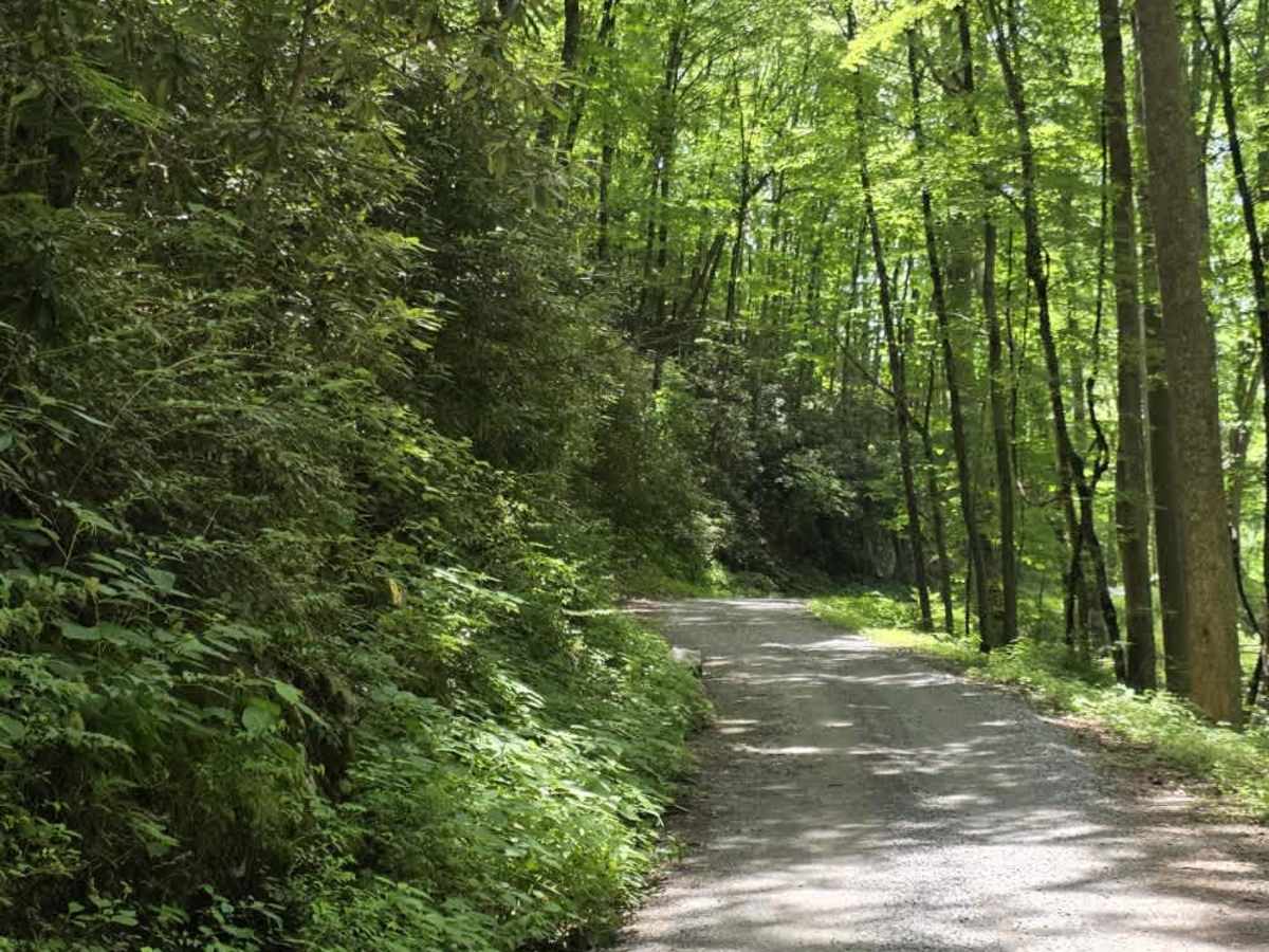 Round Mountain Road photo 3