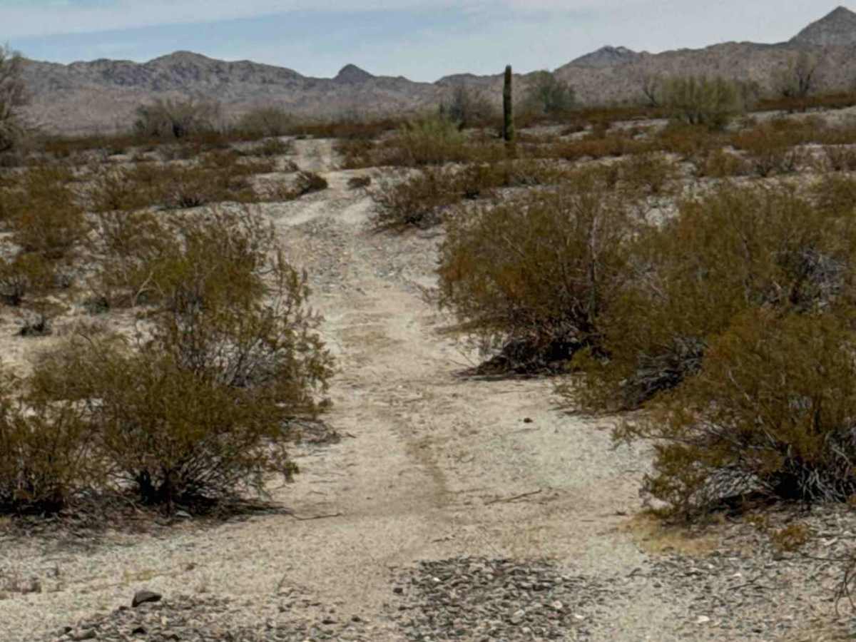 Across the Desert photo 6