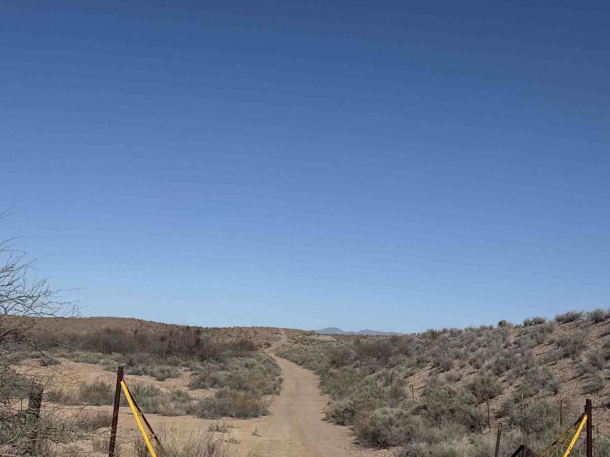 Ss1022 photo 4