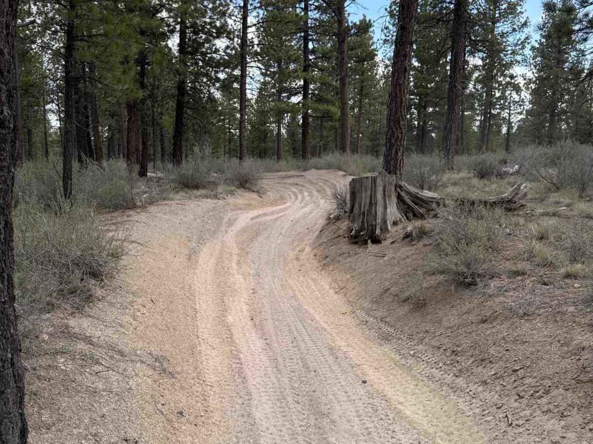 East Fort Rock - OHV Trail 40 photo 2