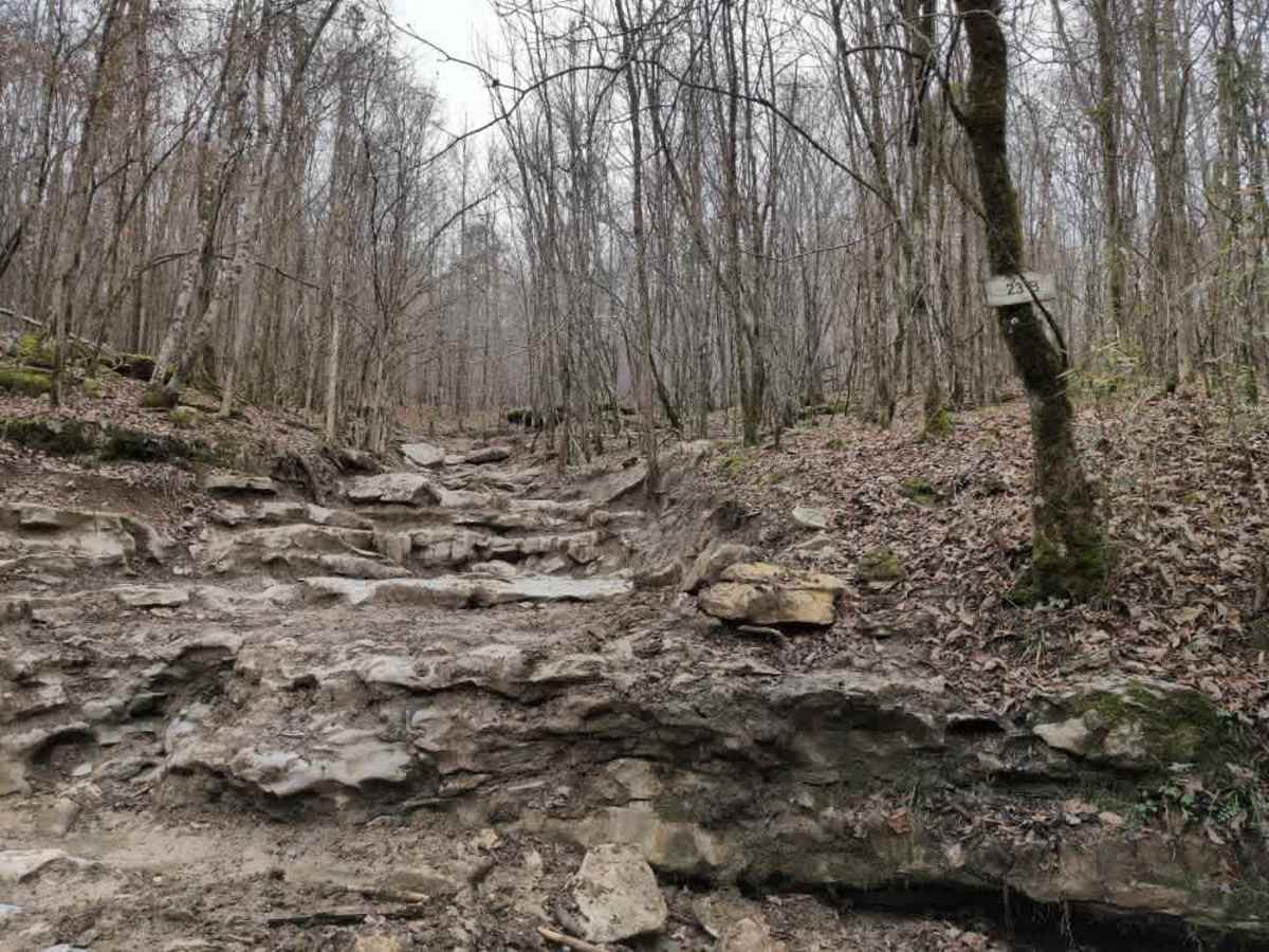 #23b Lucky's Loop trail photo