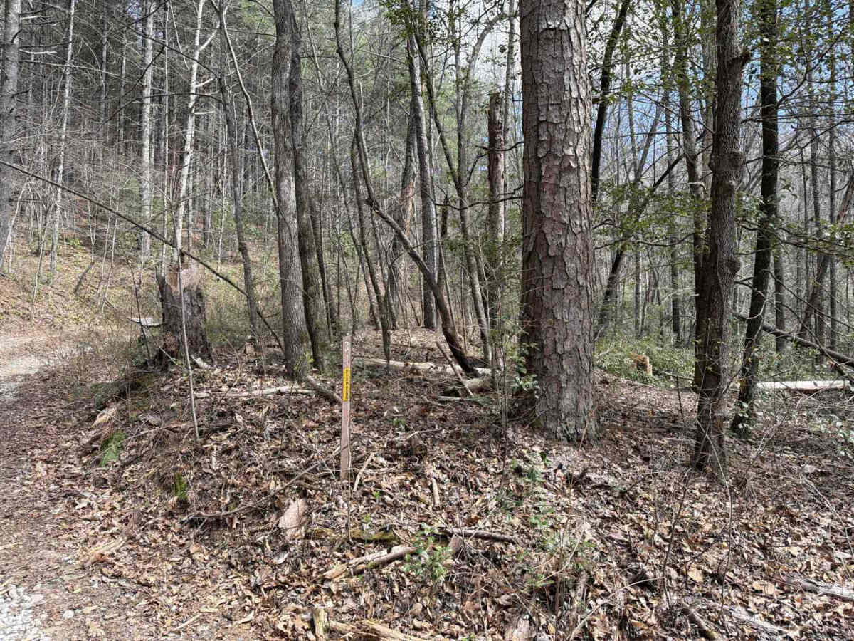 Racepath - FS 31 trail photo