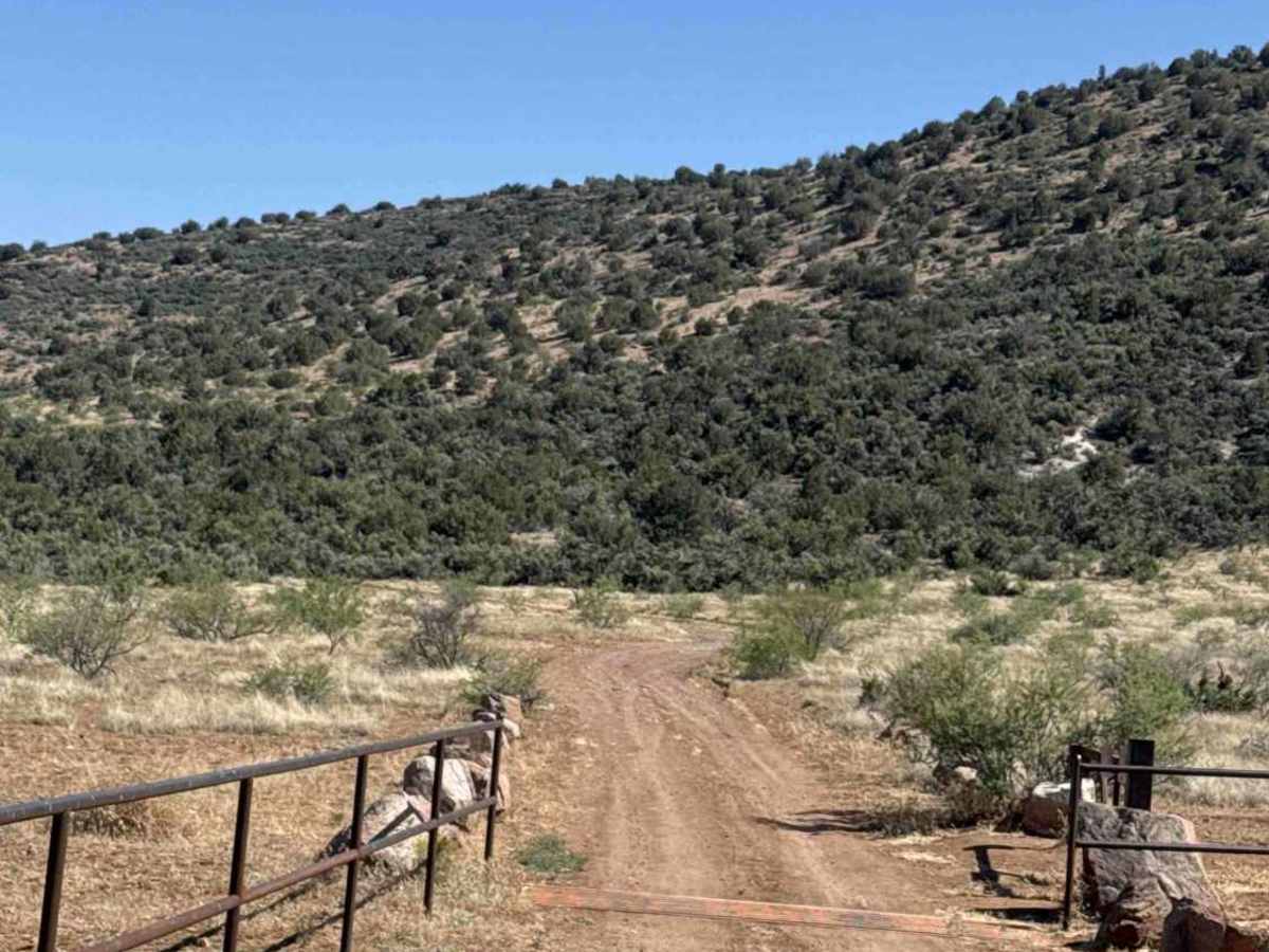 Grief Hill Trailhead - FS 9650C trail photo