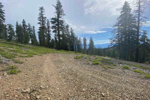 Cooper Meadow Spur A - FS 40N67A