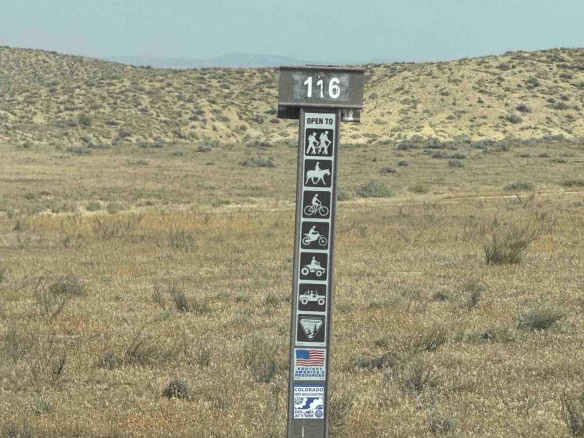 BLM 116 photo 3