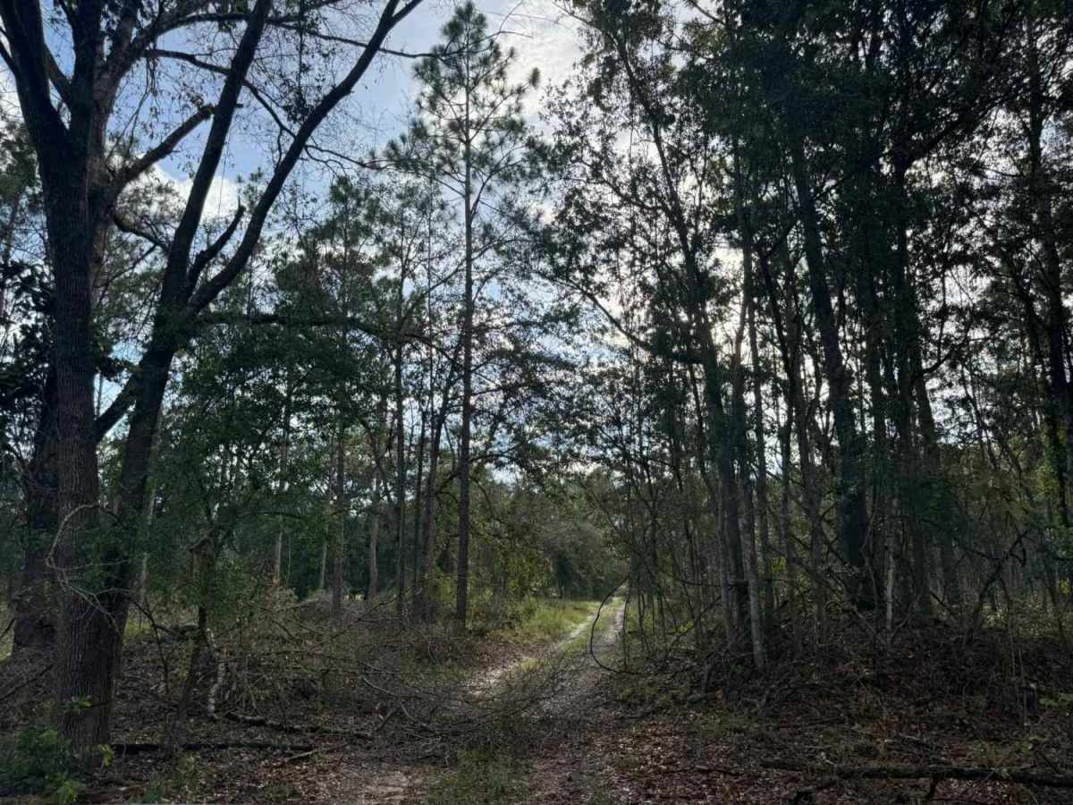 Camp Branch Road photo 6
