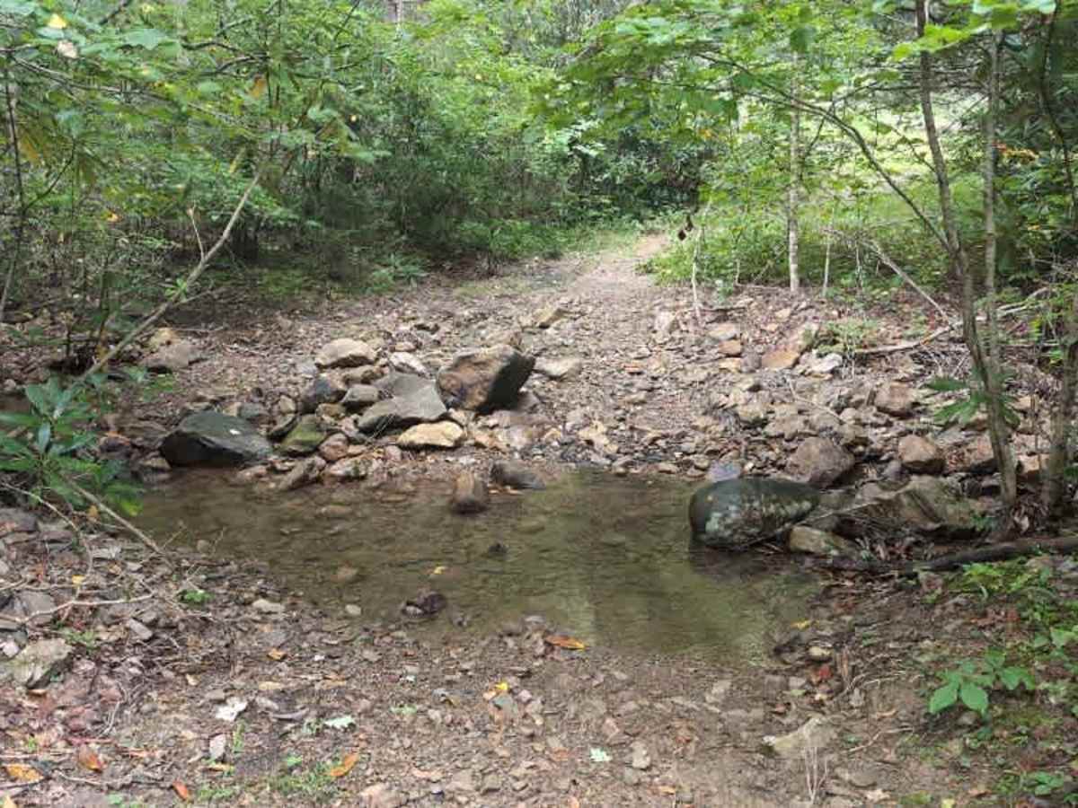 Virginia Highlands Horse Trail Spur B photo 6