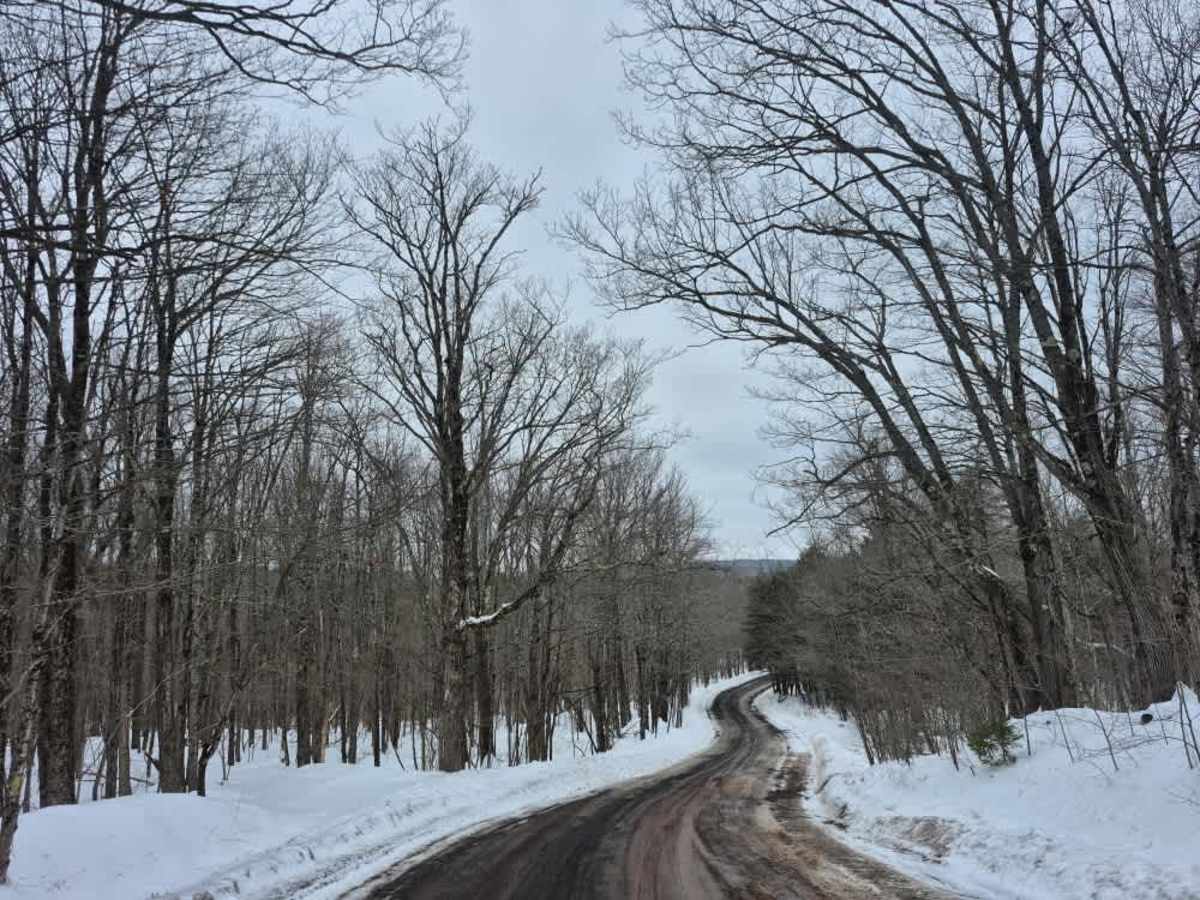 Peasley Road  trail photo