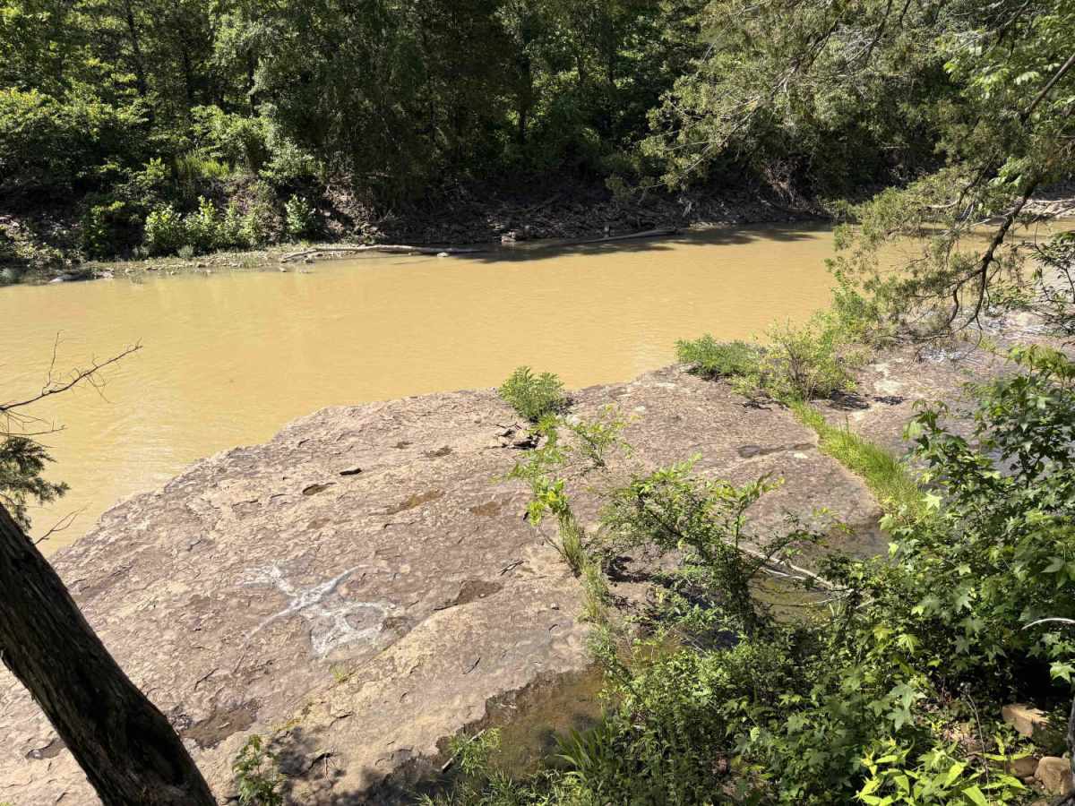 Lower Lee Creek Trail trail photo