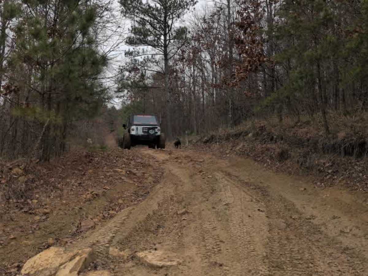 #32 Gobbler's Cutoff trail photo