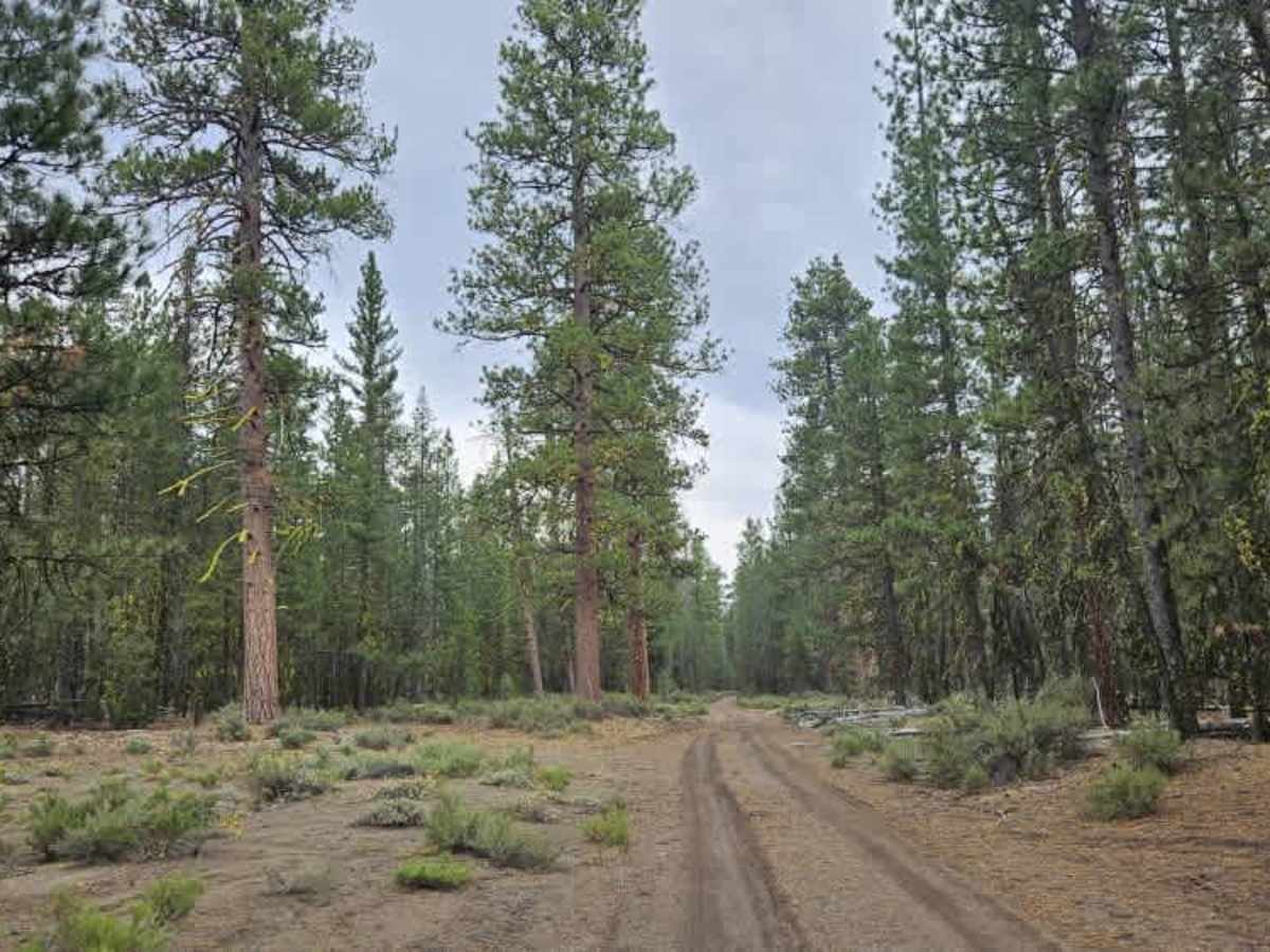 FS 8600840 trail photo