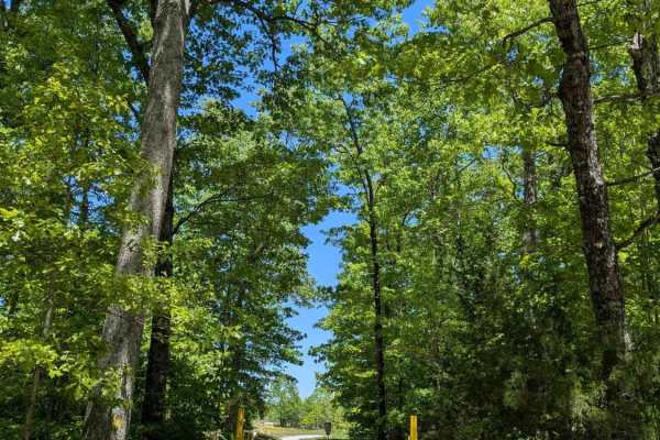 Bear Hollow Road