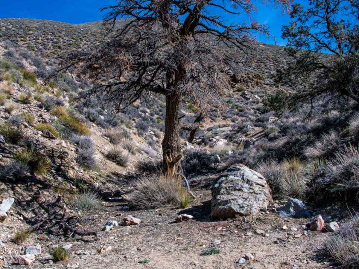 wood-canyon-road-off-road-trail-maps-difficulty-trail-status-onx