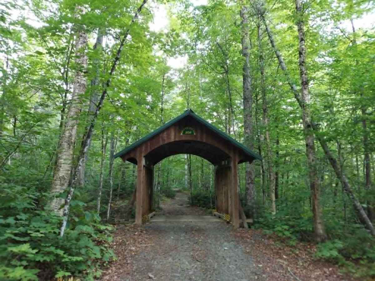 Up North Road Lower trail photo