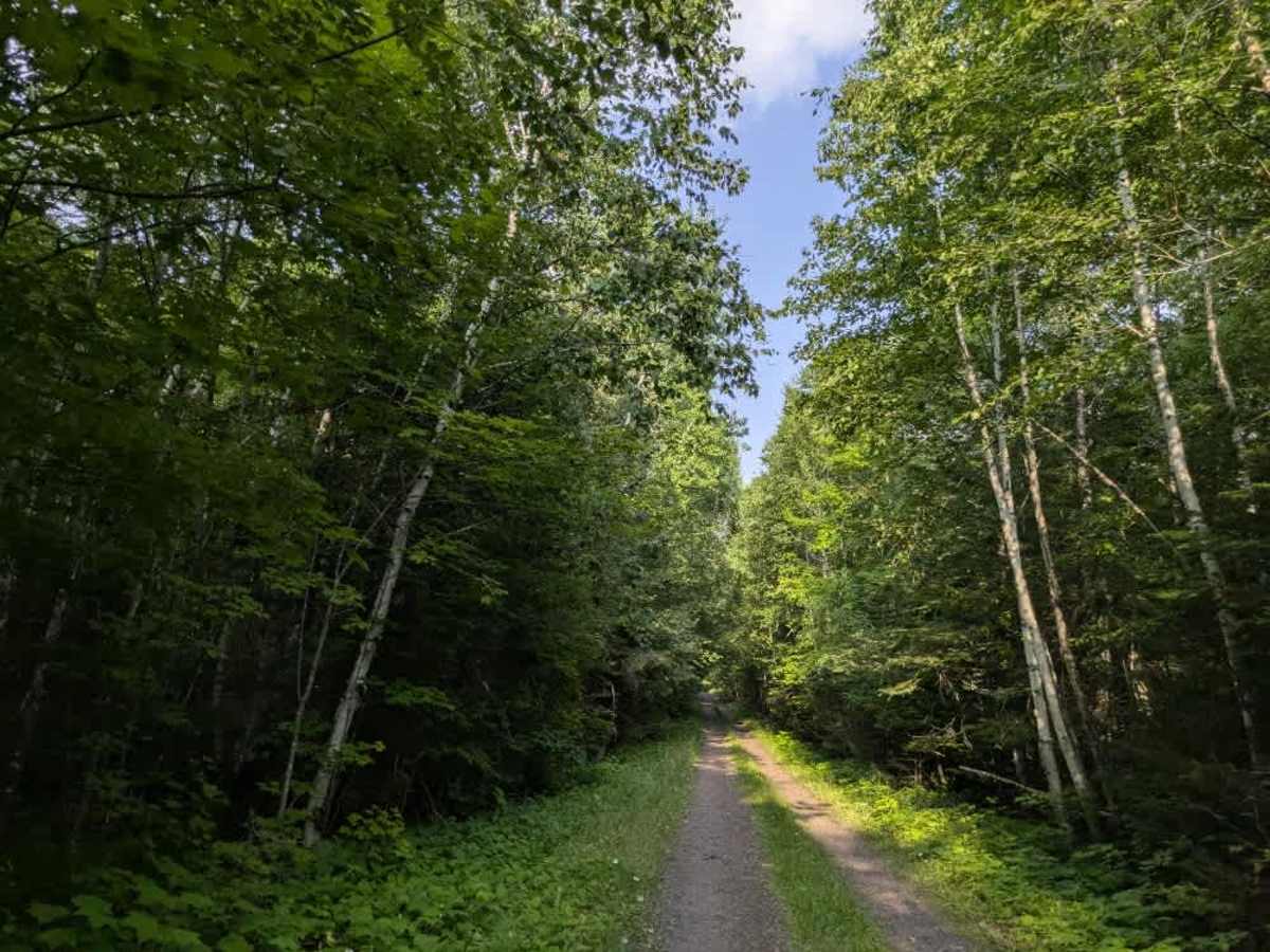 Caribou Trail photo 5