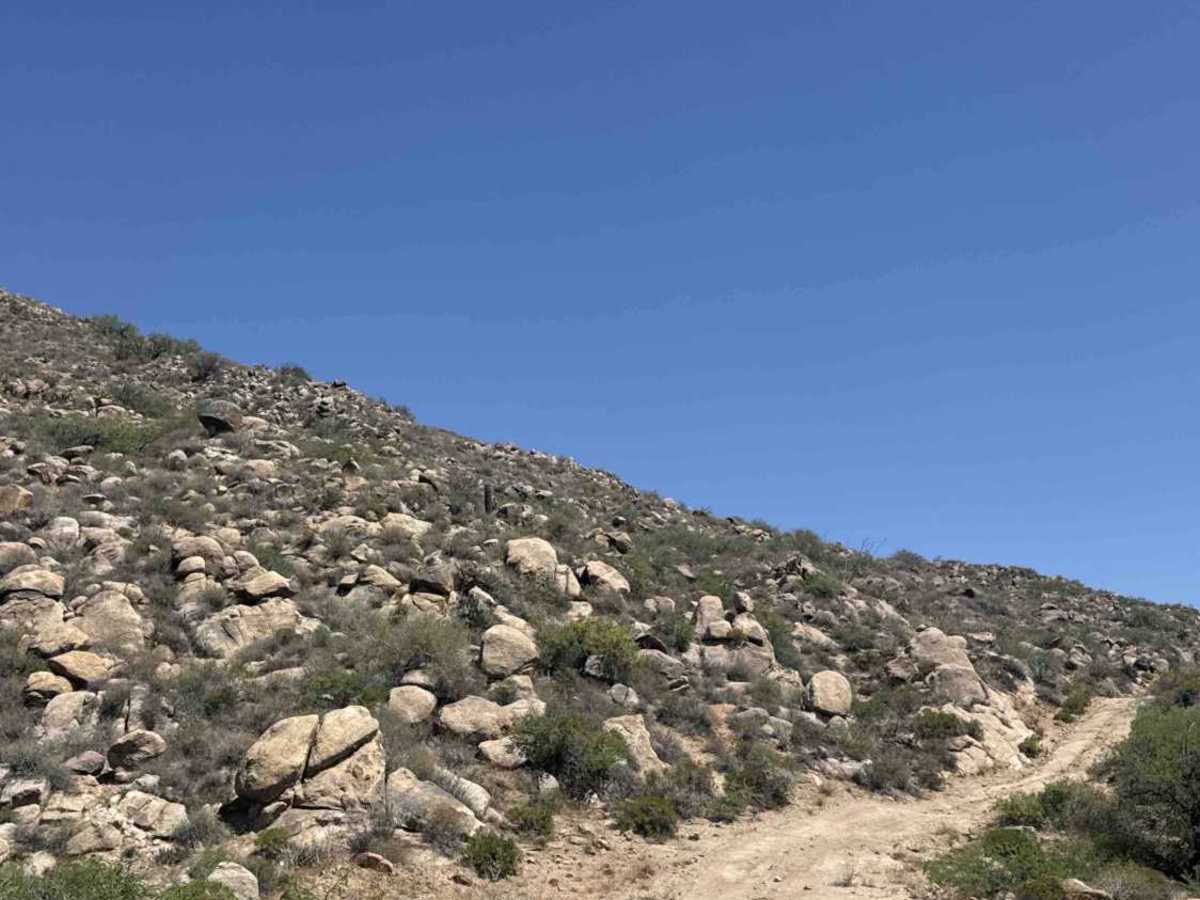 BLM 30023 photo 3